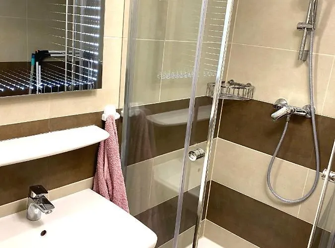 Apartament Silver Gellert *